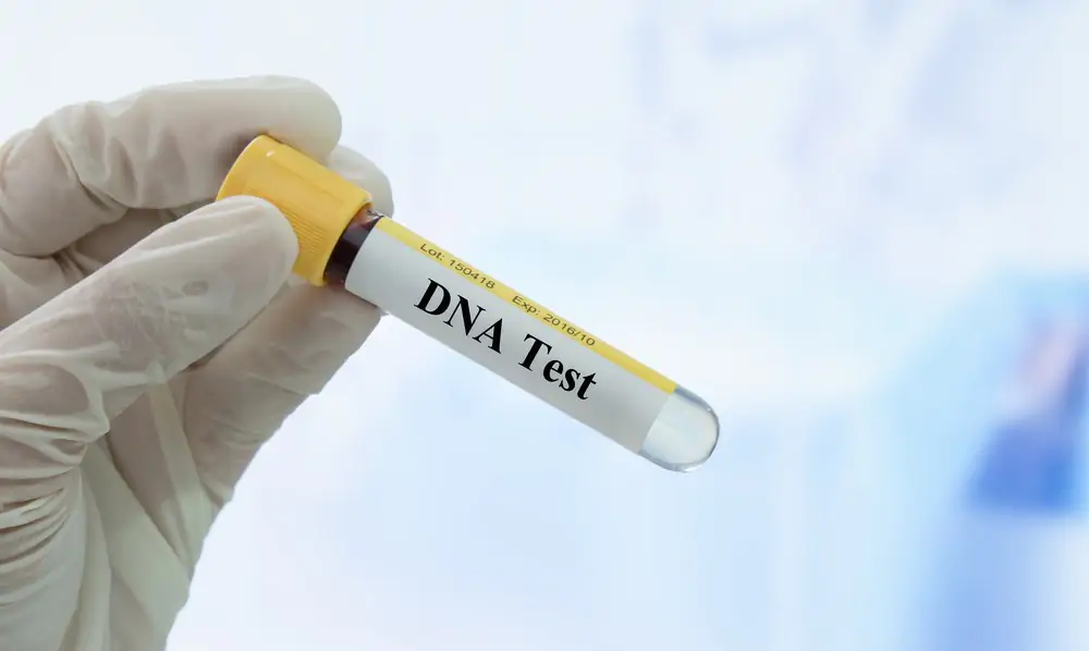 TestePaternidade_RobertoKalil