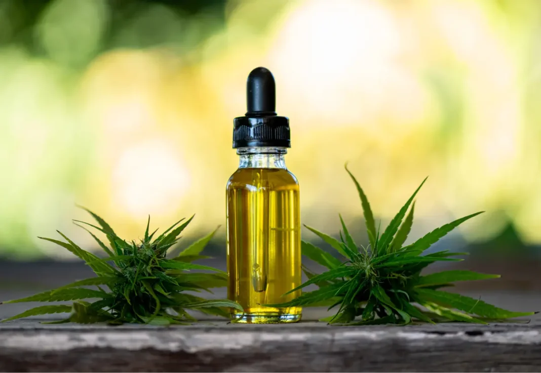 guia-completo-como-produzir-oleo-cannabis-casa-capa